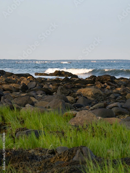 Obraz Rocky Coast of Wells, Maine, with Grass in the Foreground