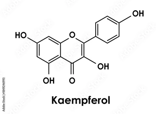 Obraz Kaempferol chemical formula, molecular structure on white background