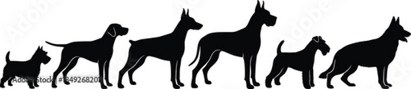 Obraz Silhouette, dog, breed, size, comparison, lineup, black, pet, animal, diversity, small, large, canine, profile, posture, growth, progression, domestic, graphic, illustration