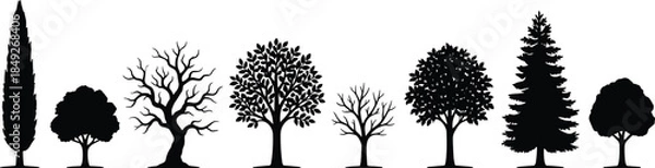 Obraz Tree, silhouette, nature, foliage, diversity, black, botanical, landscape, environment, seasonal, forest, leafless, leafy, shape, growth, outdoor, design, illustration, graphic, concept