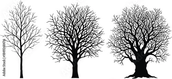 Obraz Tree, silhouette, leafless, black, branches, nature, winter, forest, illustration, graphic, isolated, bare, trunk, seasonal, landscape, botanical, minimal, artistic, profile, design