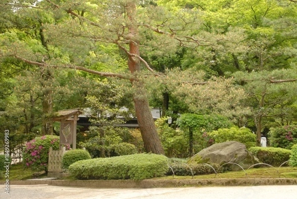 Obraz 静かな庭園の美しい風景と魅力的な自然