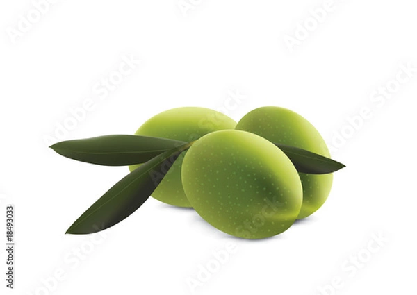 Obraz green olives