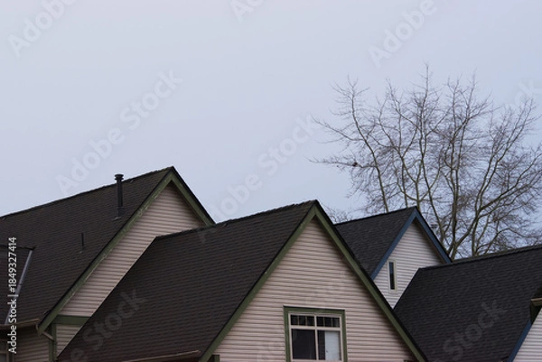 Fototapeta rooflines under overcast skies