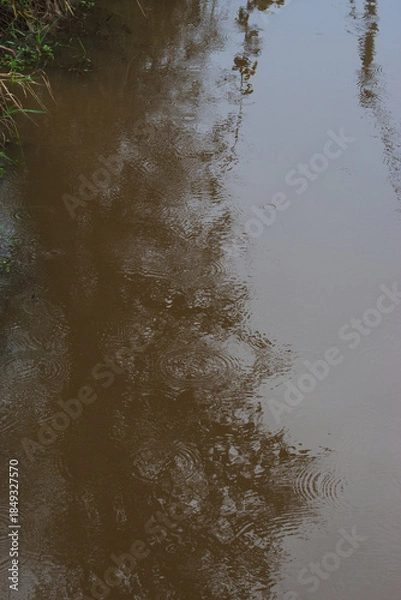 Fototapeta Water in a drainage ditch