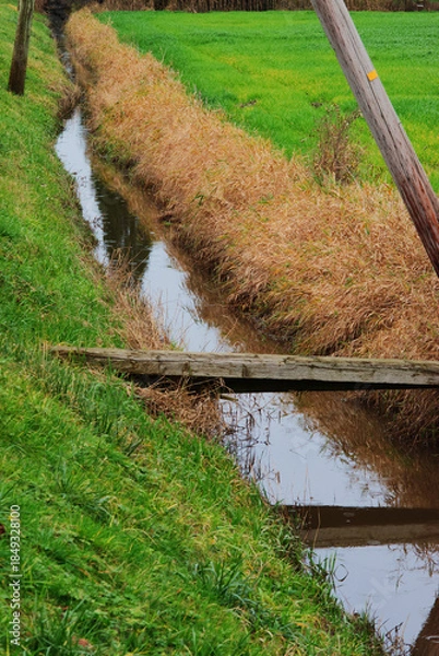 Fototapeta Drainage ditch