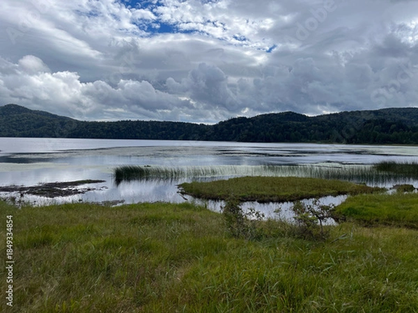 Obraz 夏の終わりを迎えた尾瀬沼の湿原。