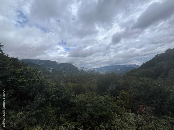 Obraz 秋の尾瀬、沼山峠周辺に広がる樹林帯の風景。