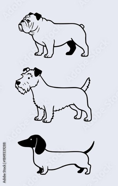 Obraz Cute Dog Character Vector Illustration
