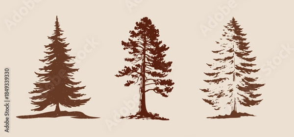 Obraz Pine Trees Forest Silhouette Vector Illustration