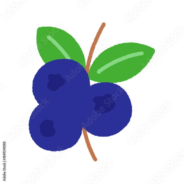 Obraz 手書き風の単品アイコンイラスト　果物　ブルーベリー
