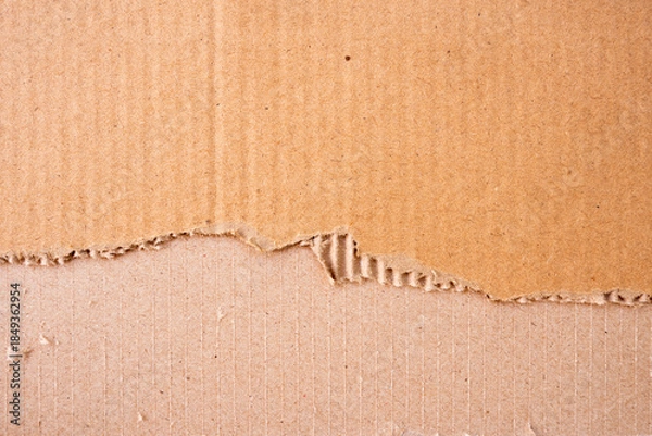 Obraz torn cardboard paper texture background