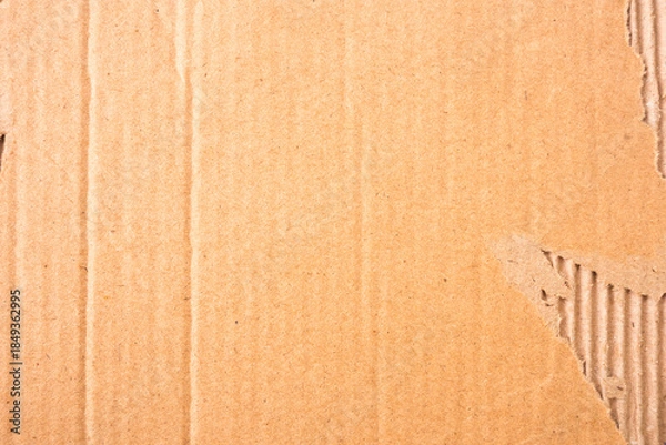 Obraz brown torn cardboard texture background