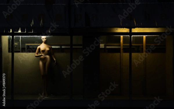 Fototapeta a lonely doll