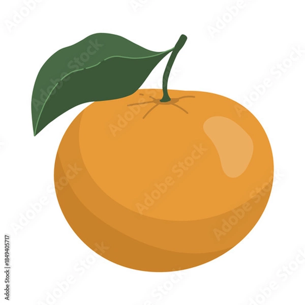 Obraz Orange Fruit Illustration With Green Leaf