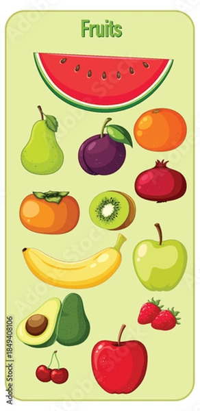 Fototapeta Colorful Assorted Fruits Vector Illustration on Light Background