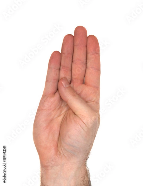 Fototapeta ASL Letter B