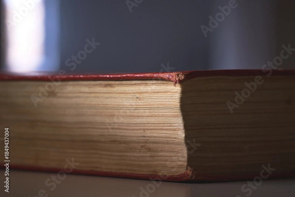 Obraz Old book resting on table under soft light