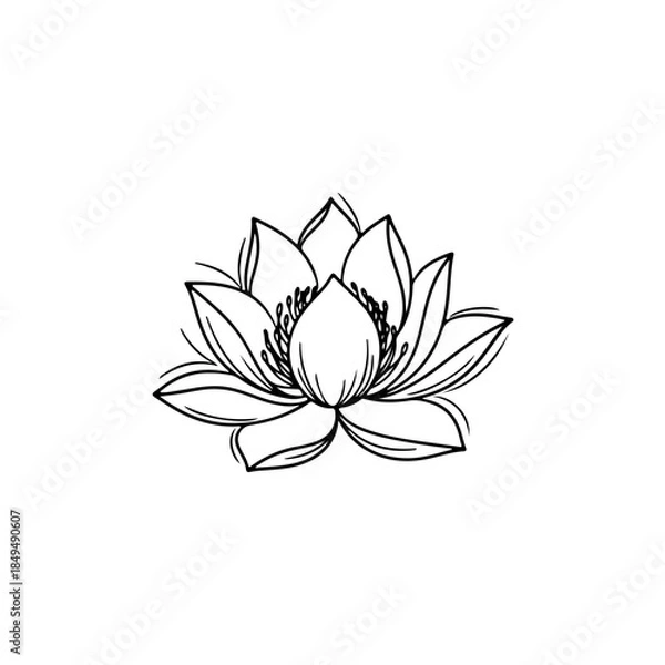 Fototapeta Black and white lotus flower line art isolated on transparent background