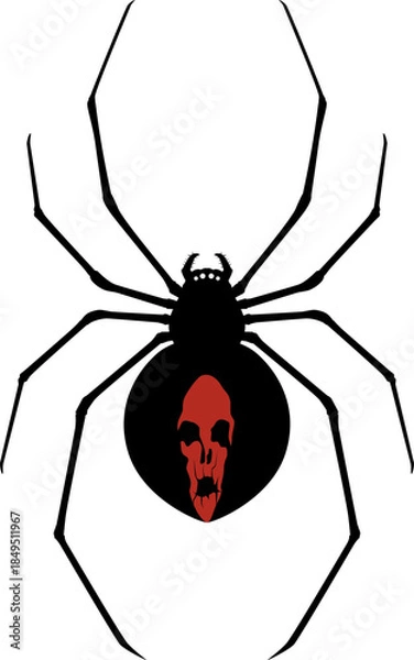 Obraz セアカゴケグモ