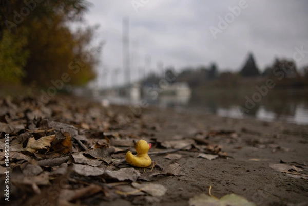 Obraz weathered rubber duck sits abandoned on a damp riverbank