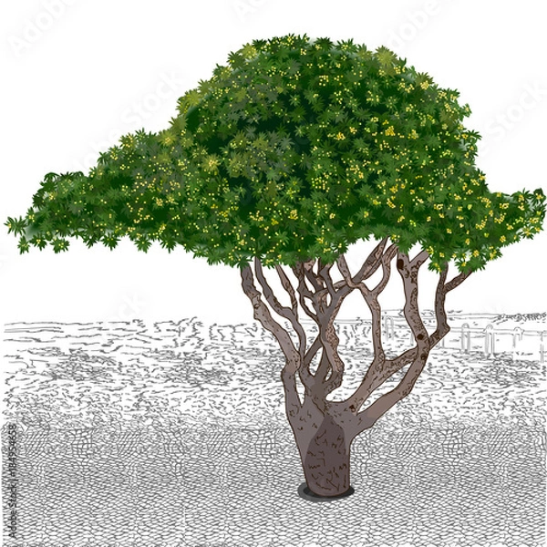 Fototapeta fantasy tree