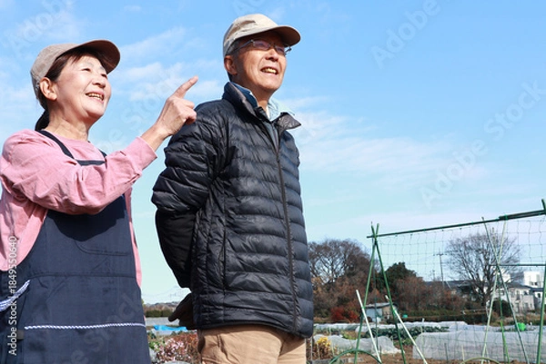 Obraz 家庭菜園　シニア夫婦