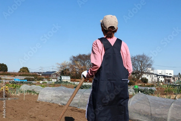 Obraz 家庭菜園　シニア女性　後ろ姿
