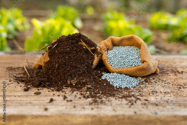 Fototapeta Bio organic and synthetic fertilizer products on wooden board in farm