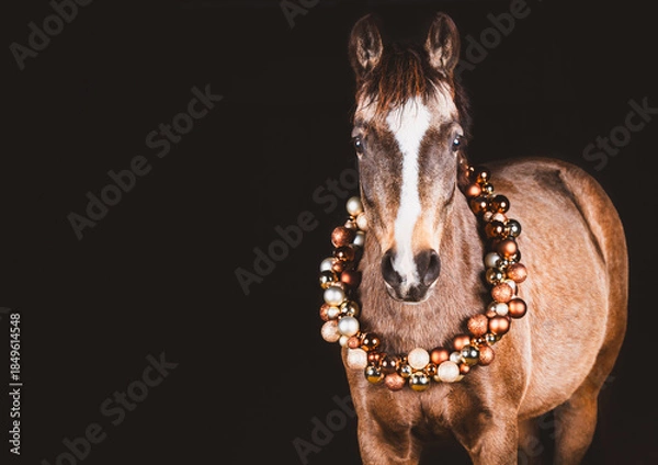 Obraz Pferd / weihnachtlich