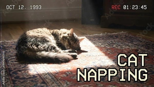 Obraz Cat Sleeping on Carpet in Sunlight.