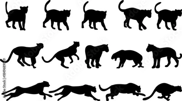 Obraz Silhouette, tiger, panther in different angles, set, vector