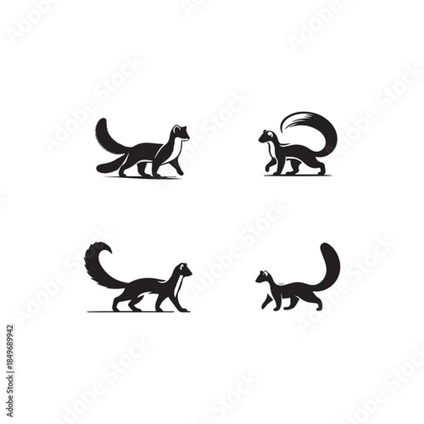 Obraz  American Marten