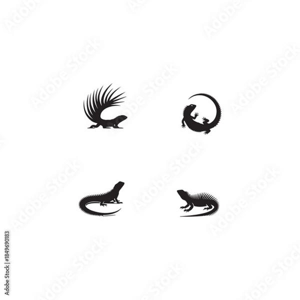 Obraz  Arabian Spiny-tailed Lizard