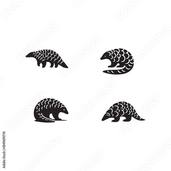 Obraz  Pangolin.