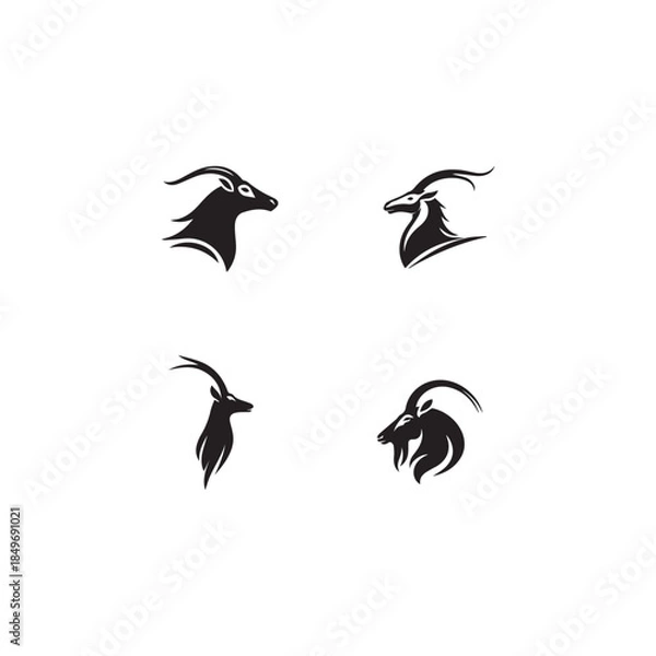 Obraz Saiga Antelope.