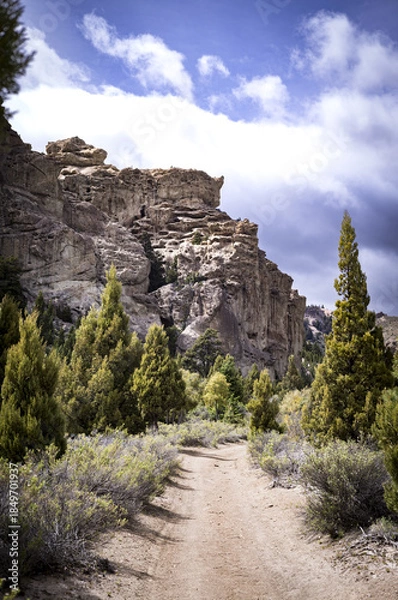 Obraz Patagonie Argentine 