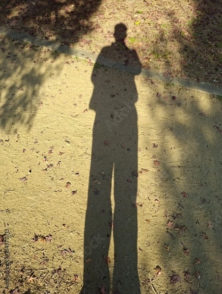 Obraz Shadow standing black people