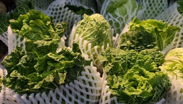 Obraz cabbage in a basket