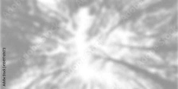 Fototapeta Shadow of a forest on a transparent background