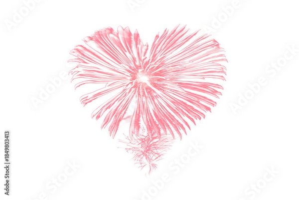 Obraz Pink fireworks in the shape of a heart texture, cut out layer, png isolated on white or transparent background, love wedding or Valentine's day celebration