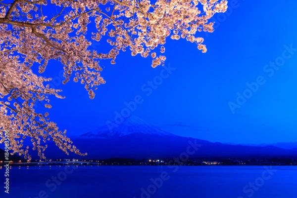 Obraz 河口湖から見た富士山と桜