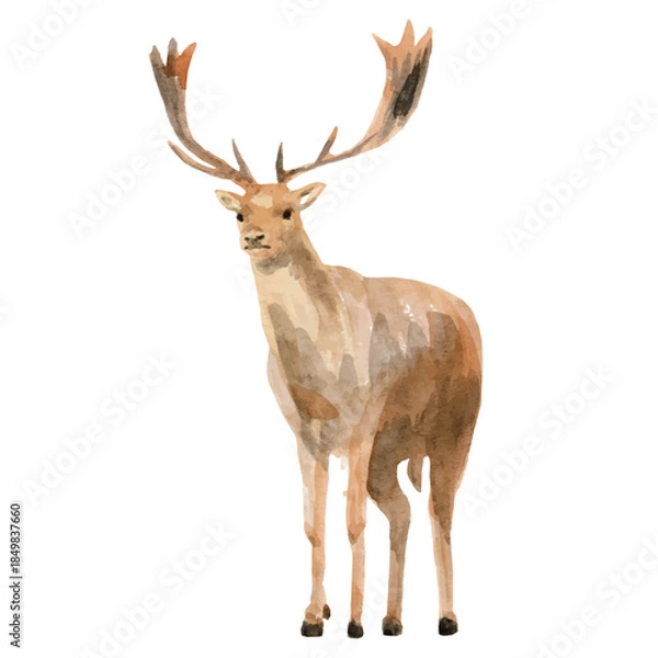 Obraz watercolor deer