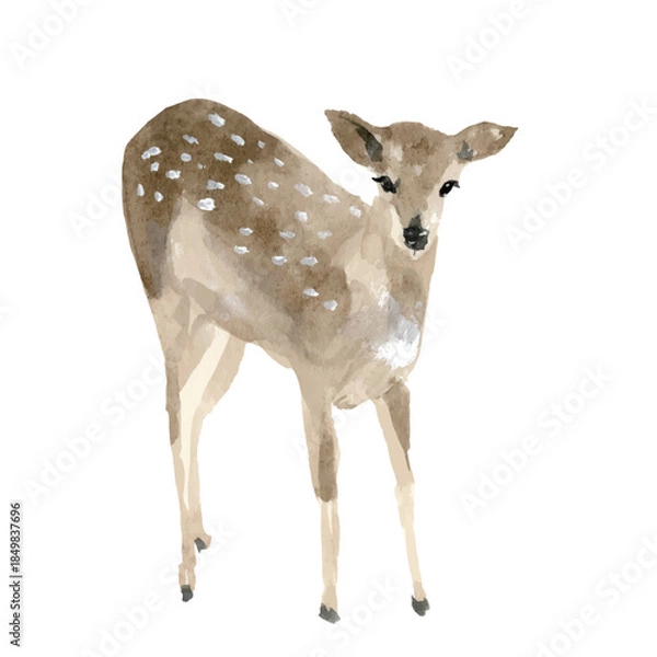 Obraz watercolor deer