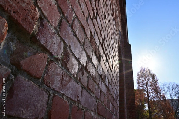 Obraz ノリタケの森のクリスマスと紅葉