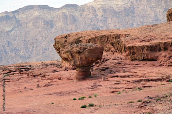 Fototapeta Timna park, Israel