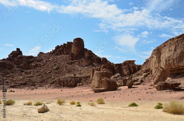 Fototapeta Negev desert
