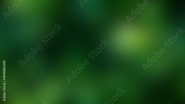 Fototapeta Abstract Green Bokeh Background. Dark Forest Foliage Blur and Gradient.