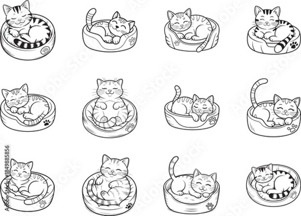 Fototapeta Cute Sleeping Kitten Svg