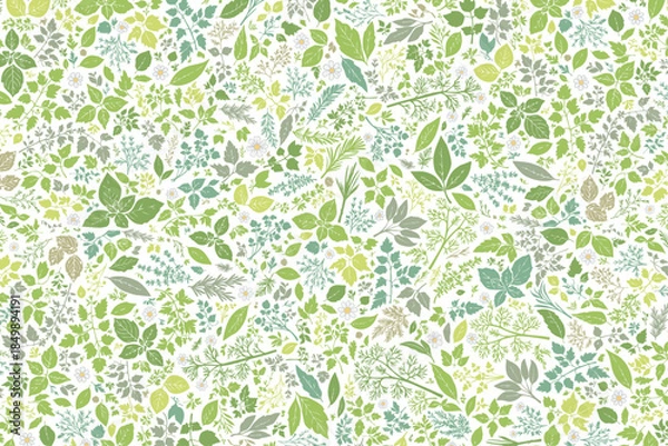 Obraz ハーブ柄のパターン　前面に敷き詰めた構成